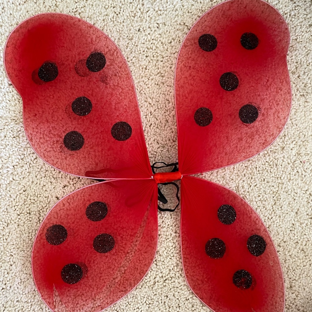 Kids lady bug wings.